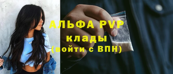 соль ск Няндома