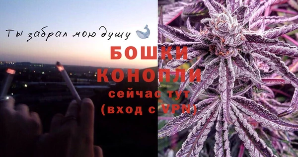 соль ск Няндома