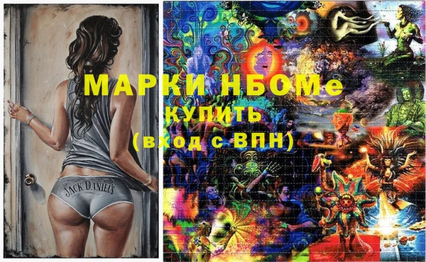 соль ск Няндома