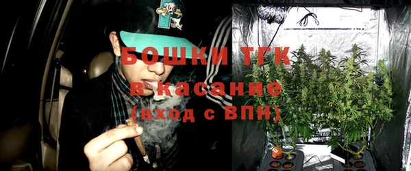 соль ск Няндома
