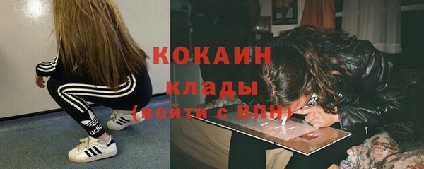 соль ск Няндома