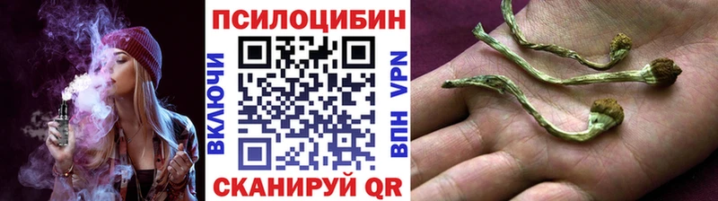 Псилоцибиновые грибы Cubensis Владивосток