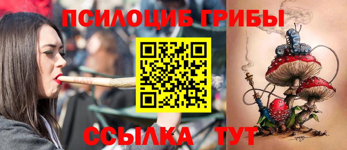 Галлюциногенные грибы MAGIC MUSHROOMS Владивосток